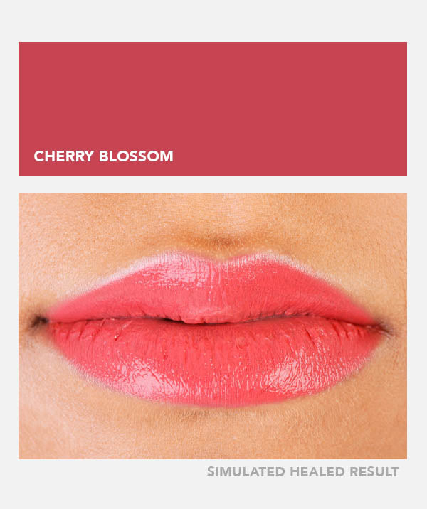 Cherry Blossom